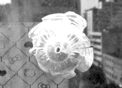 ���e�Ո������☌���m(x��)���O(ji��n)�غΕr������