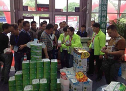 �����_(d��)����z��C(j��)ȫ��Ѳչ ��������ݗ�������