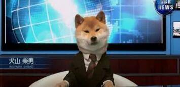  ������ʩ�̡���������߅�������Ʋʡ��������е�����