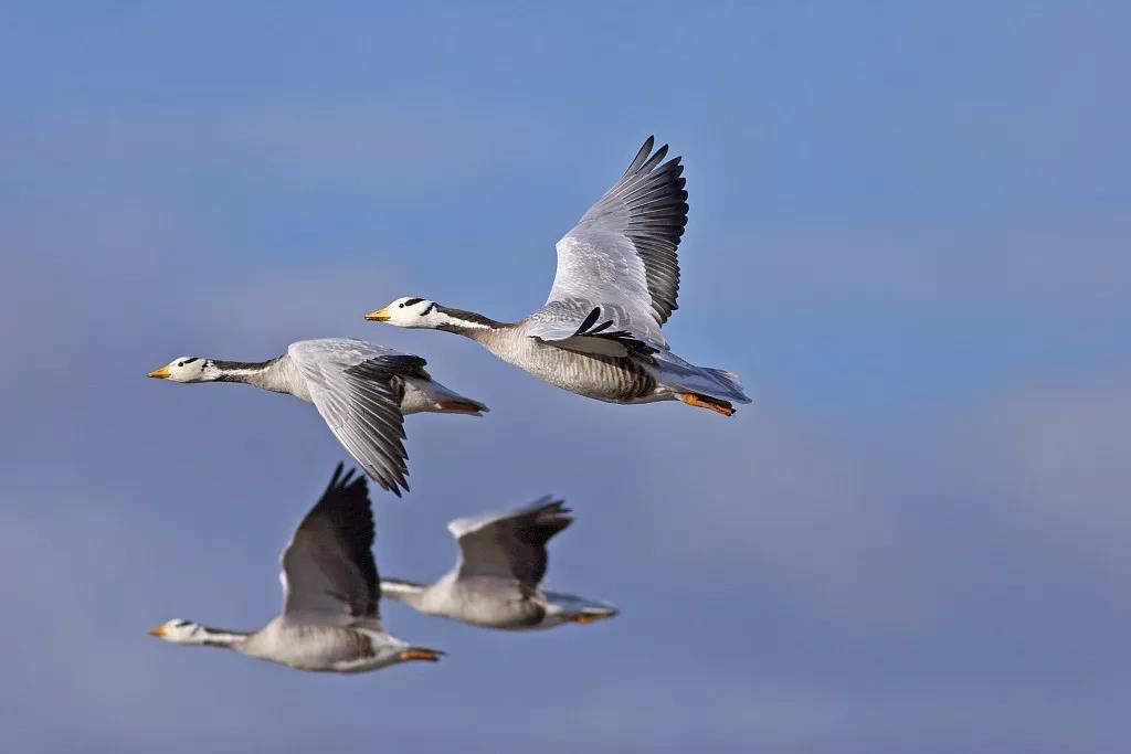 ֱ����������ҕ�z��C(j��)���㿴�������w����ߵ��B(ni��o)