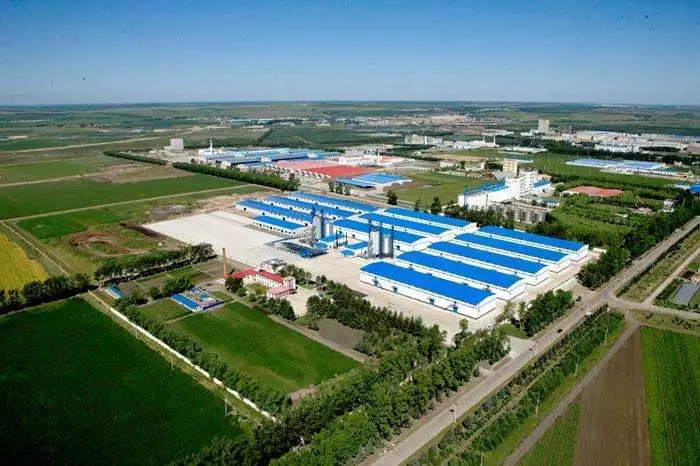 ���m���A��Ѳ��Ѳ�z �������F(tu��n)