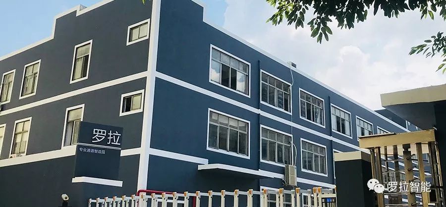 �_������ 2019������Ƹ